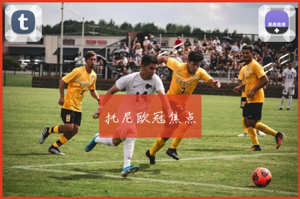 托尼欧冠焦点