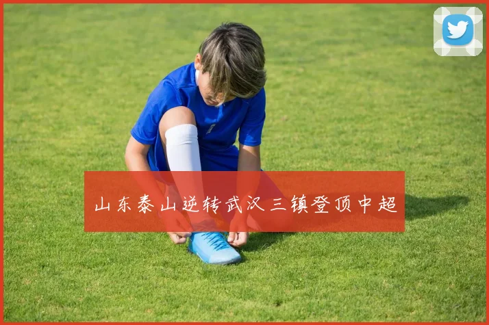 山东泰山逆转武汉三镇登顶中超