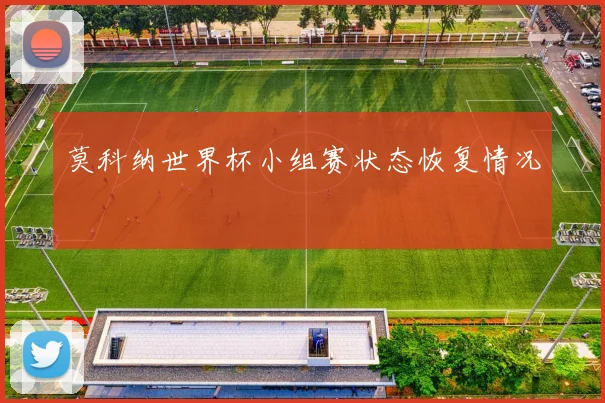 莫科纳世界杯小组赛状态恢复情况