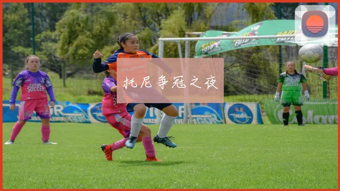 托尼争冠之夜