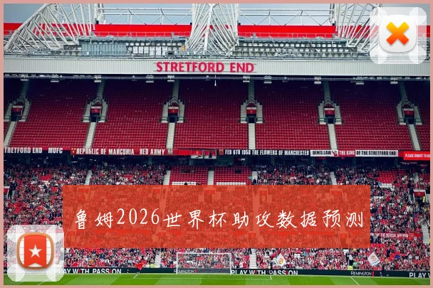 鲁姆2026世界杯助攻数据预测